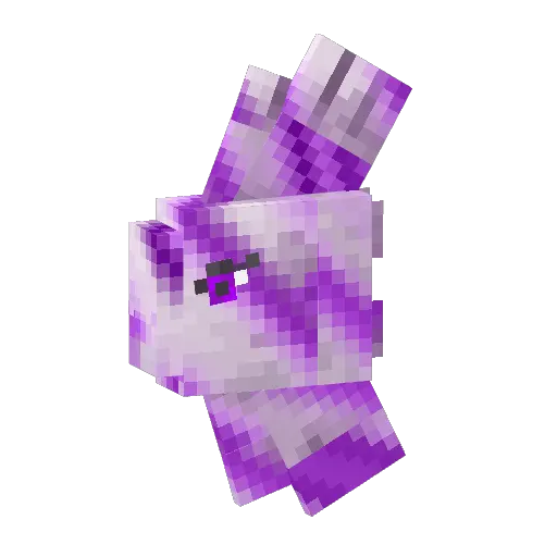 Purple Tropical Alomomola