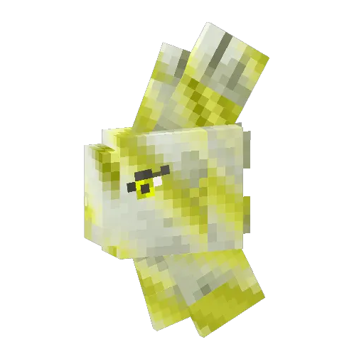 Yellow Tropical Alomomola