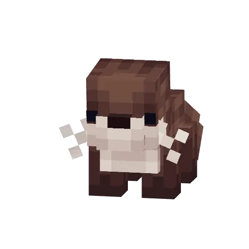 Otter